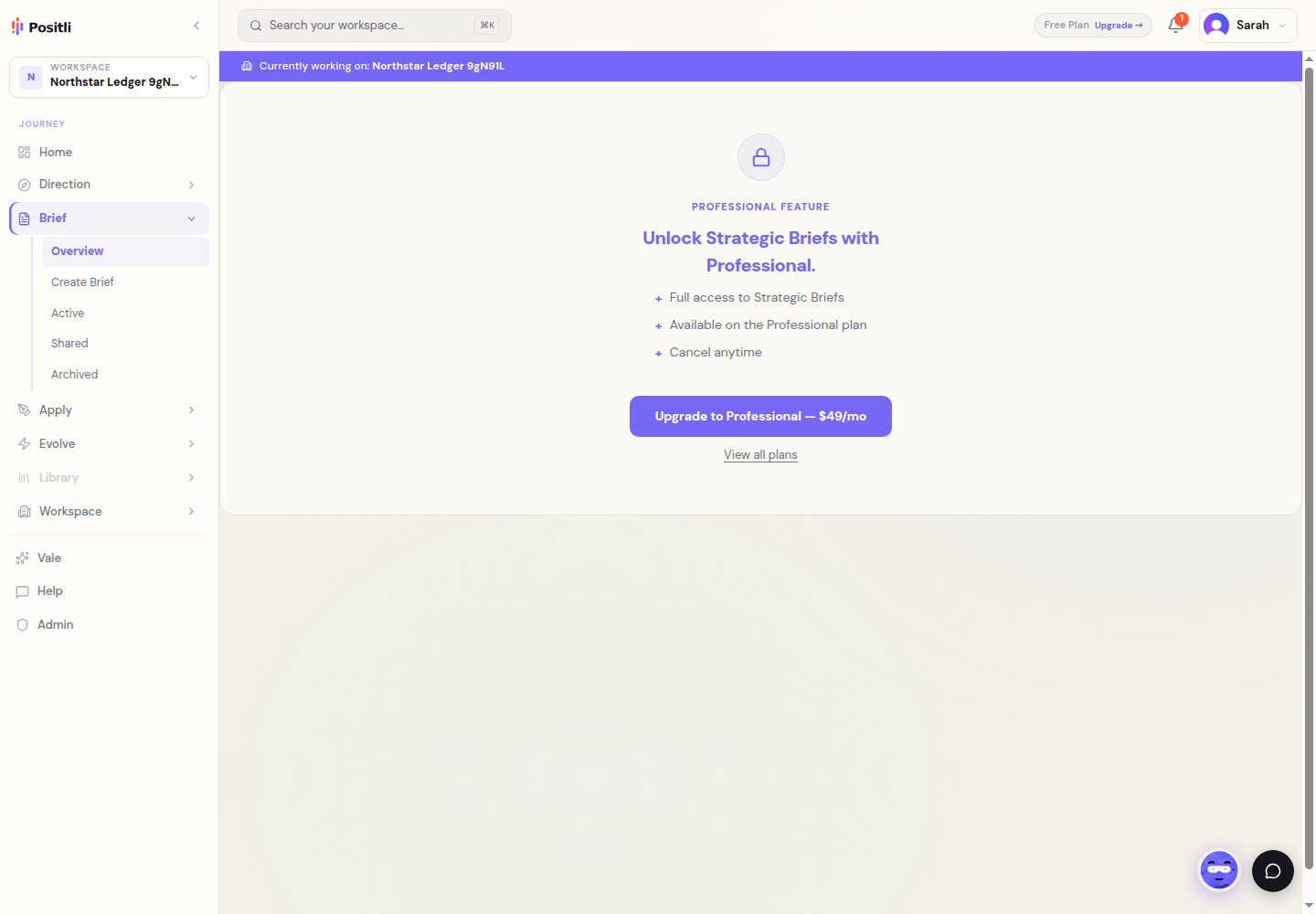 Strategic Briefs access screen for the fictional Northstar Ledger test company