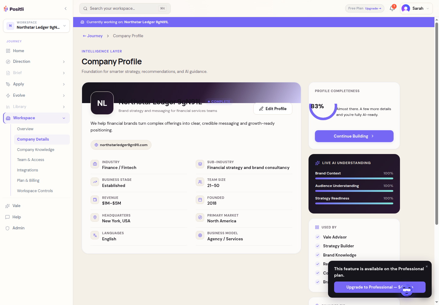 The completed Company Profile for the fictional Northstar Ledger test company